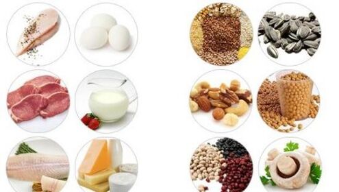Foods high in animal and vegetable protein for male potential